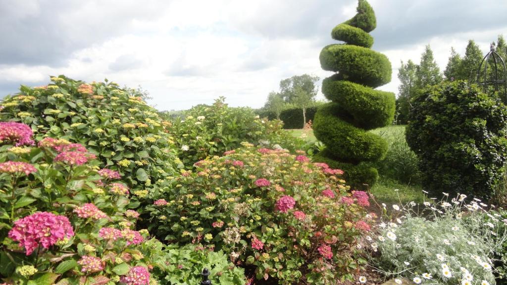 Westwood Country House Blarney Kültér fotó