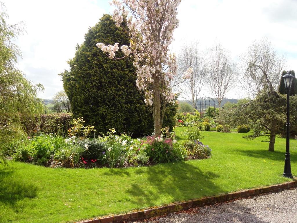 Westwood Country House Blarney Kültér fotó